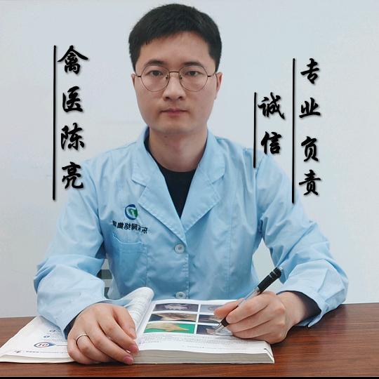 养鸡技术指导～陈亮