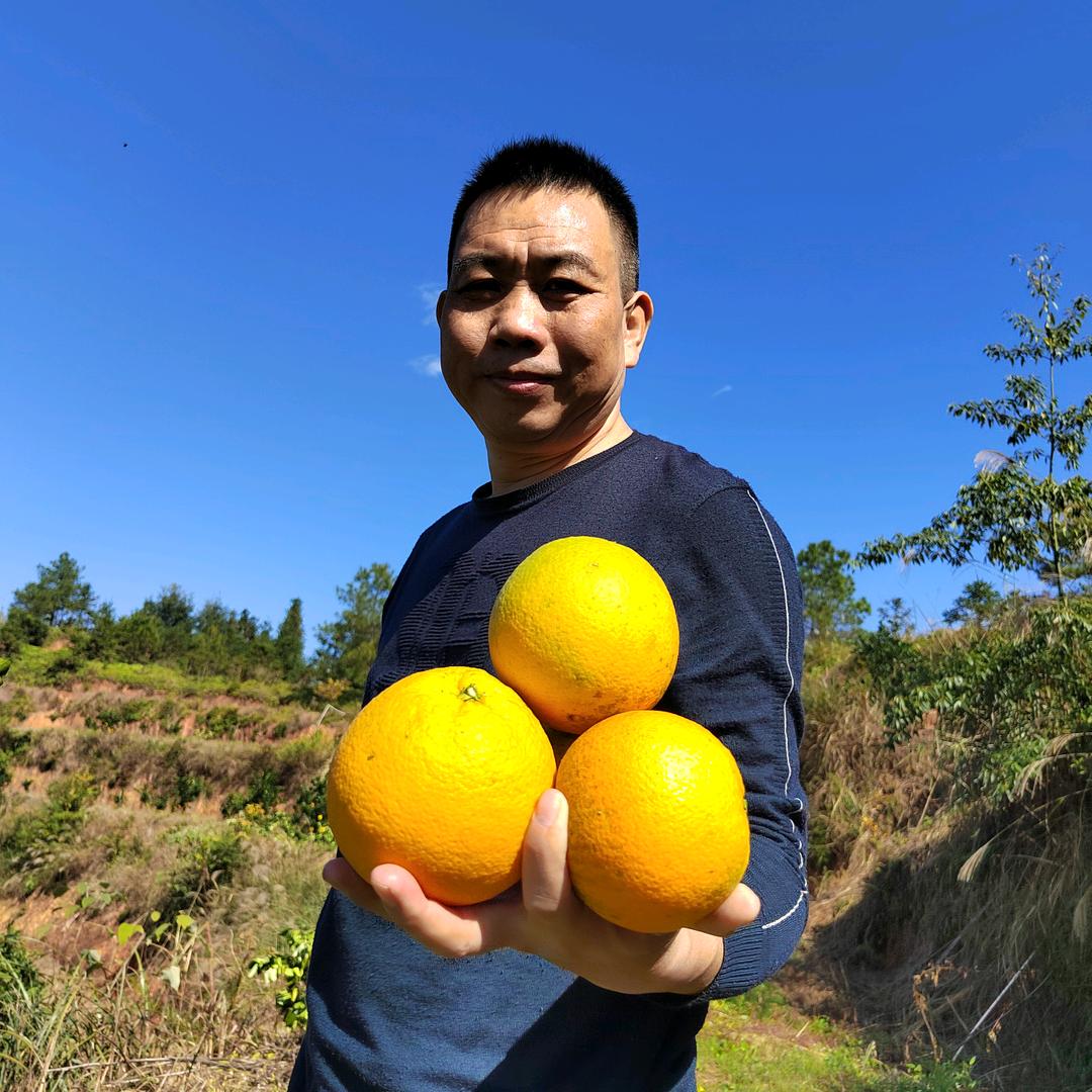 龙飛
