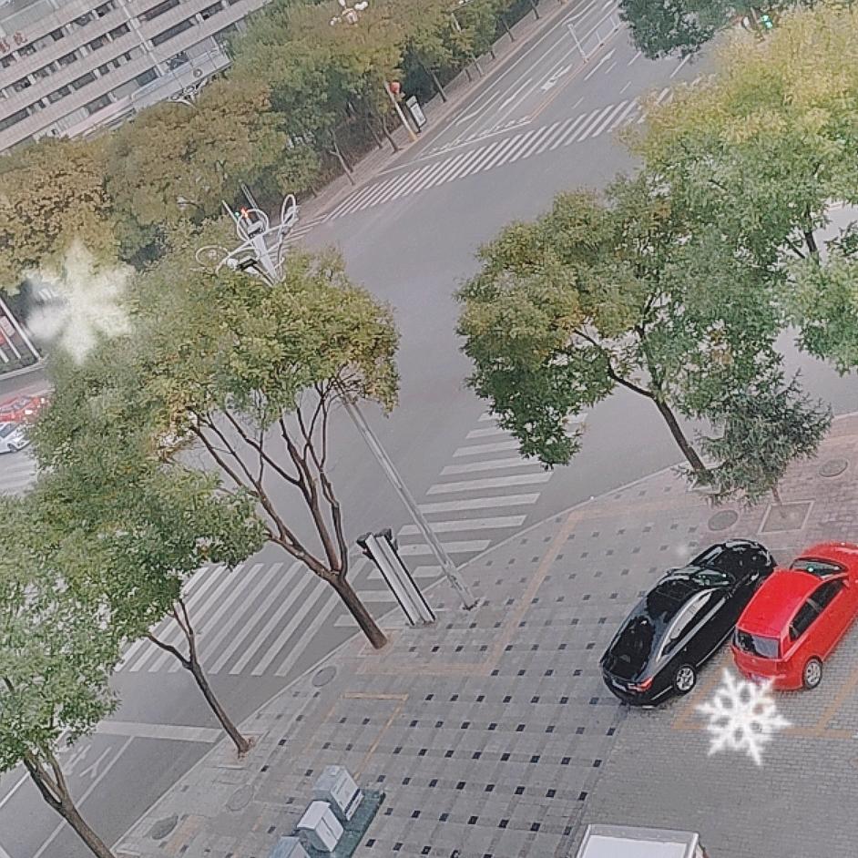 杨飞