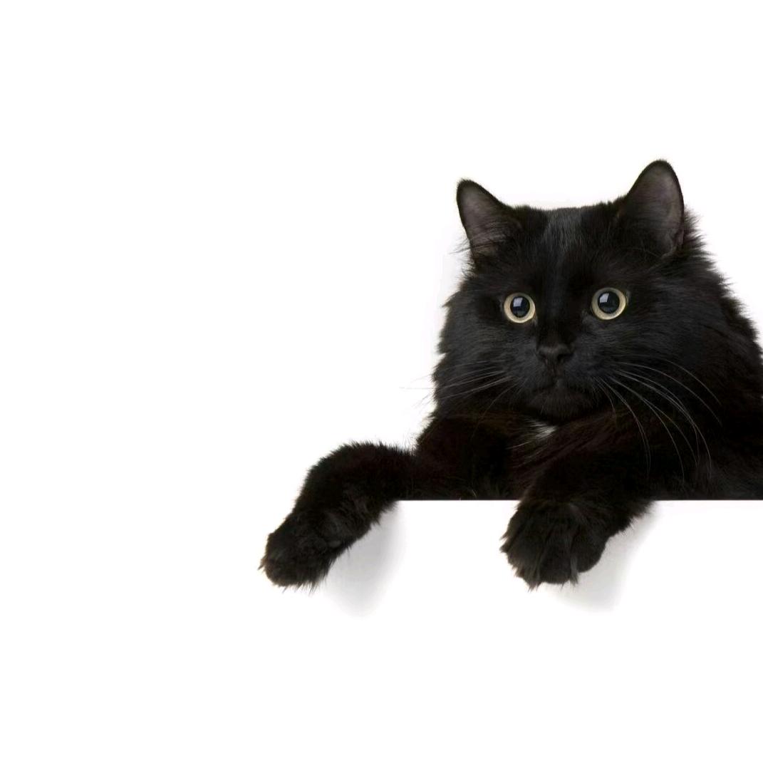 𝓼𝓮𝓪𝓼𝓮𝓪