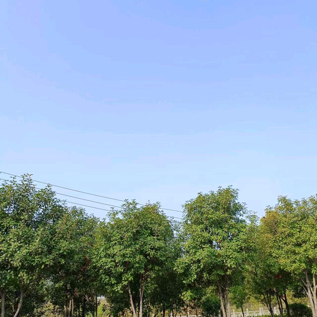 琳姐
