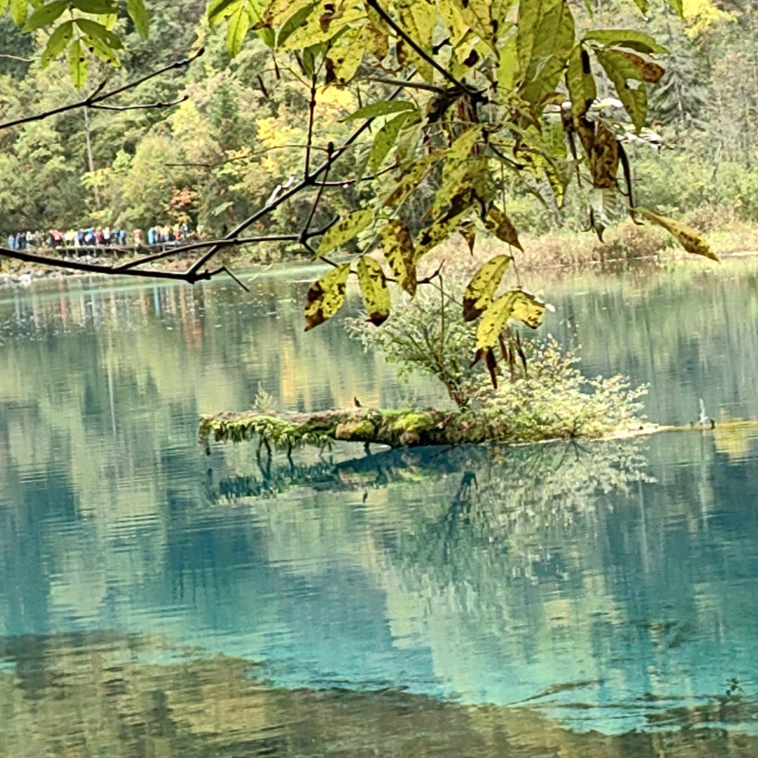 幸福时光