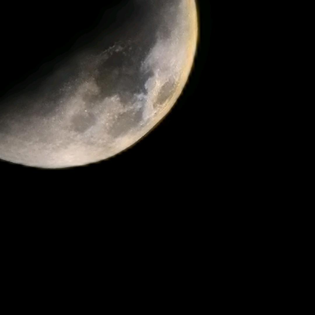 绿优果品特产店