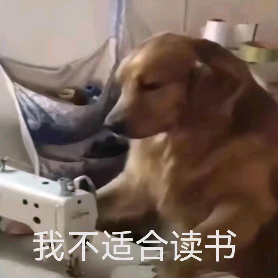 一起上自习