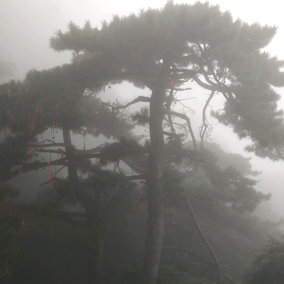 想不出好的名称