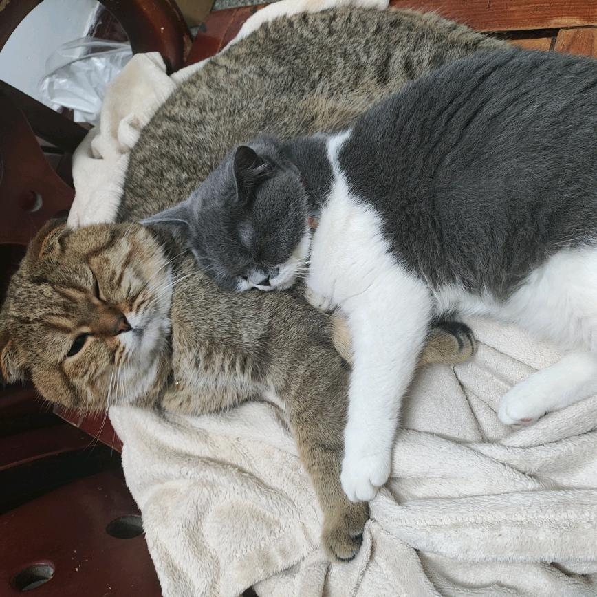 L&C