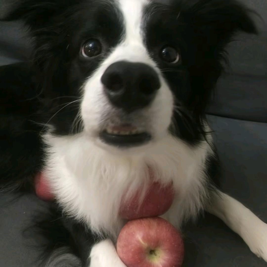 lala
