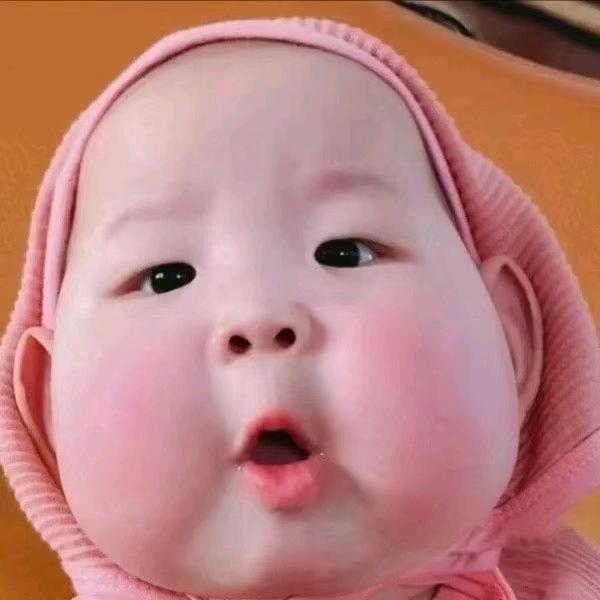 老卫家小卫