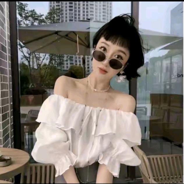 陈先生与小白白-精品衣橱