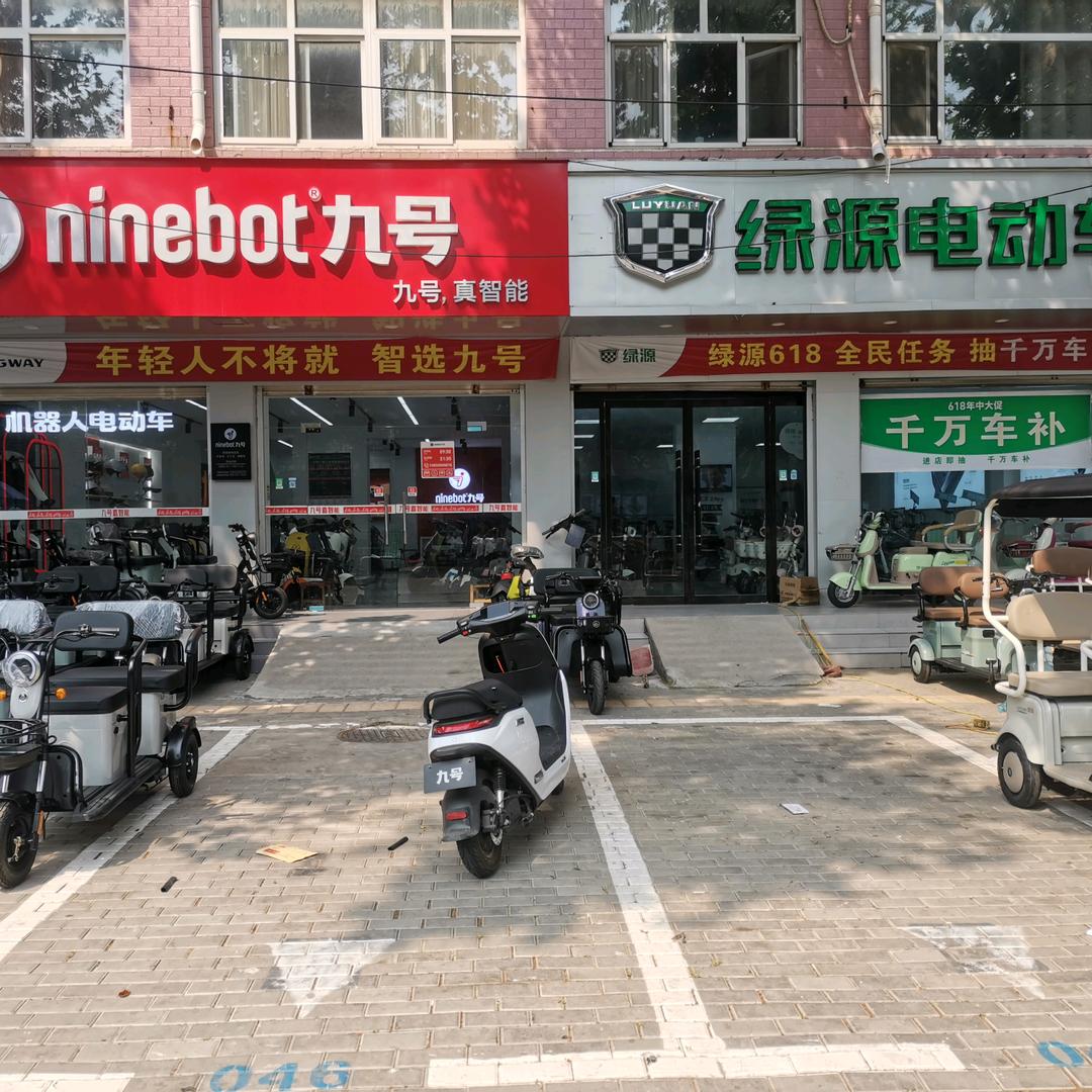 广平九号 绿源 海宝 万仕达