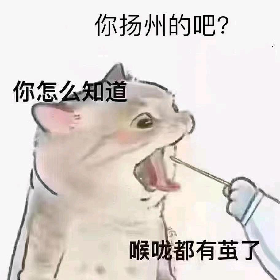 ──  展开99条回复  ⌵