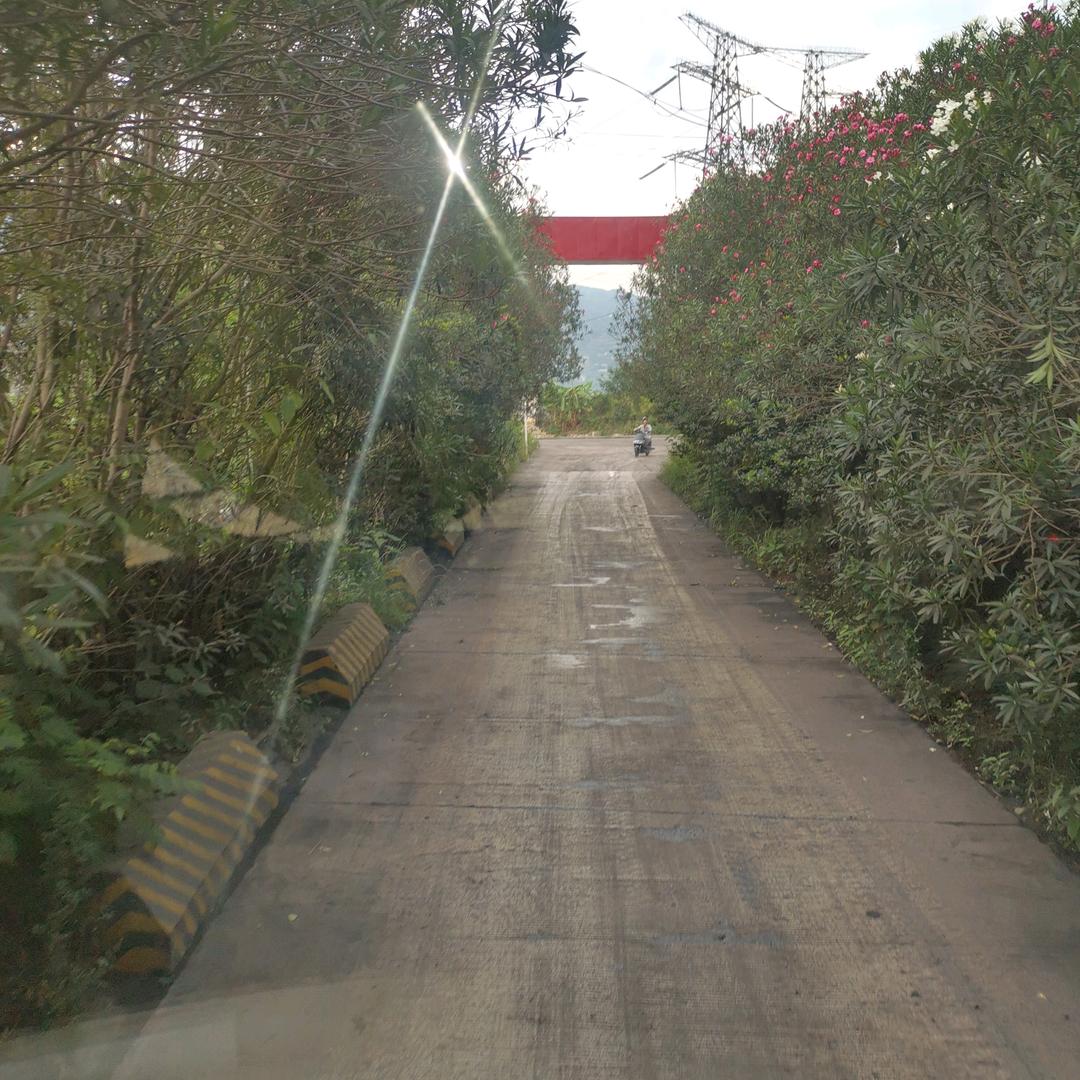 我的微笑百度搜不到