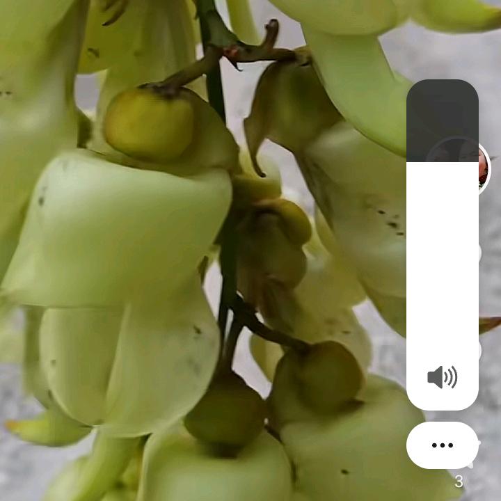 坎坷路都要自己走，自己才休会