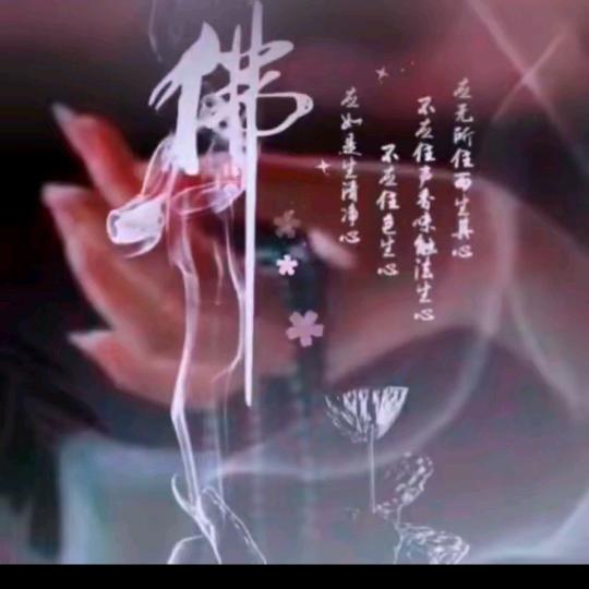 一生只爱一个人顺其自然独宠