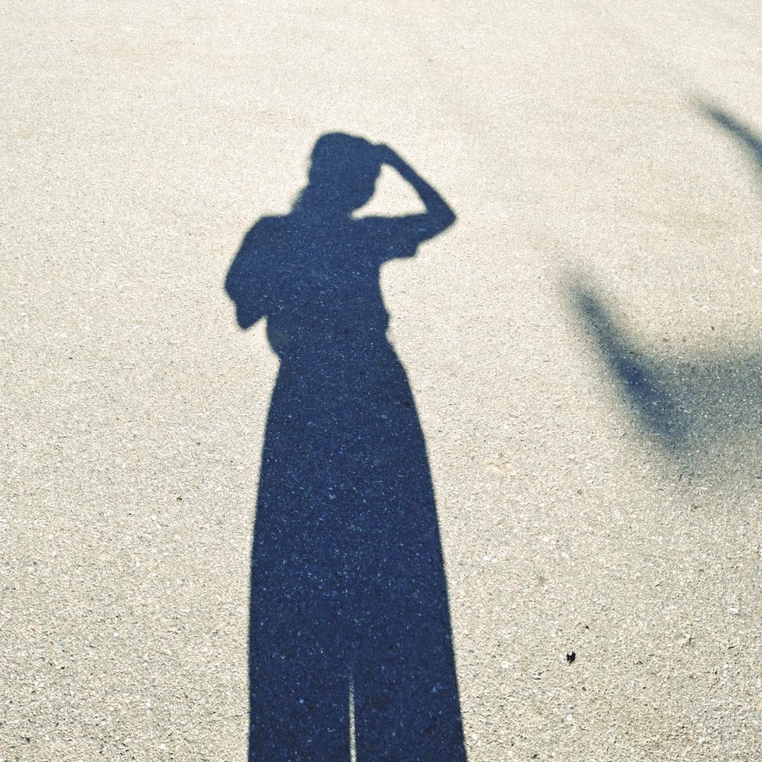 芒果园里种橘子