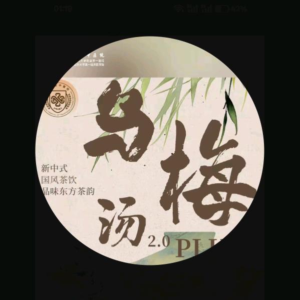 浙院乌梅汤2.0plus