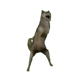 81岁性感母野狼