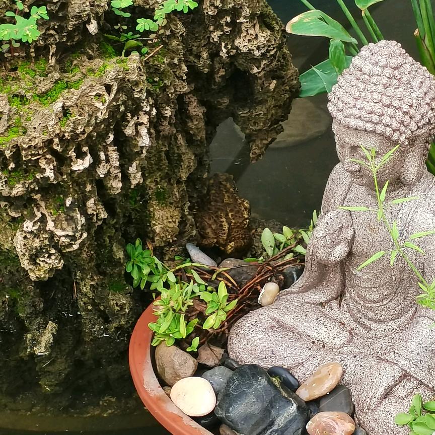 老马看生活