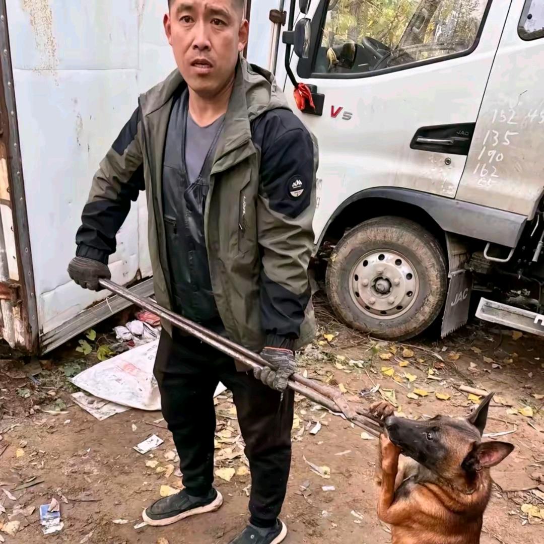 AAA.专业套狗赵师傅