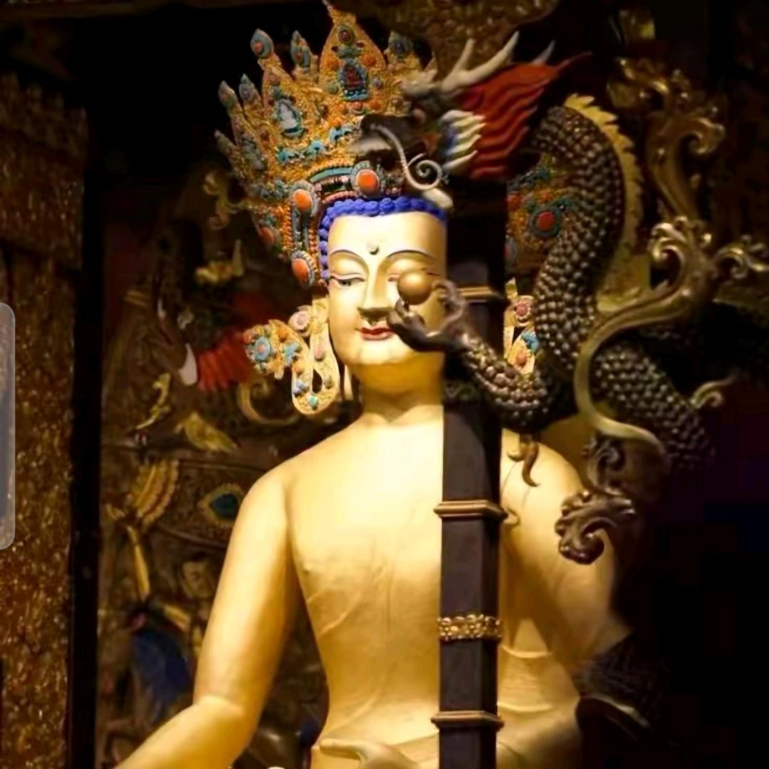 格扎🧘