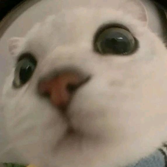 天赐