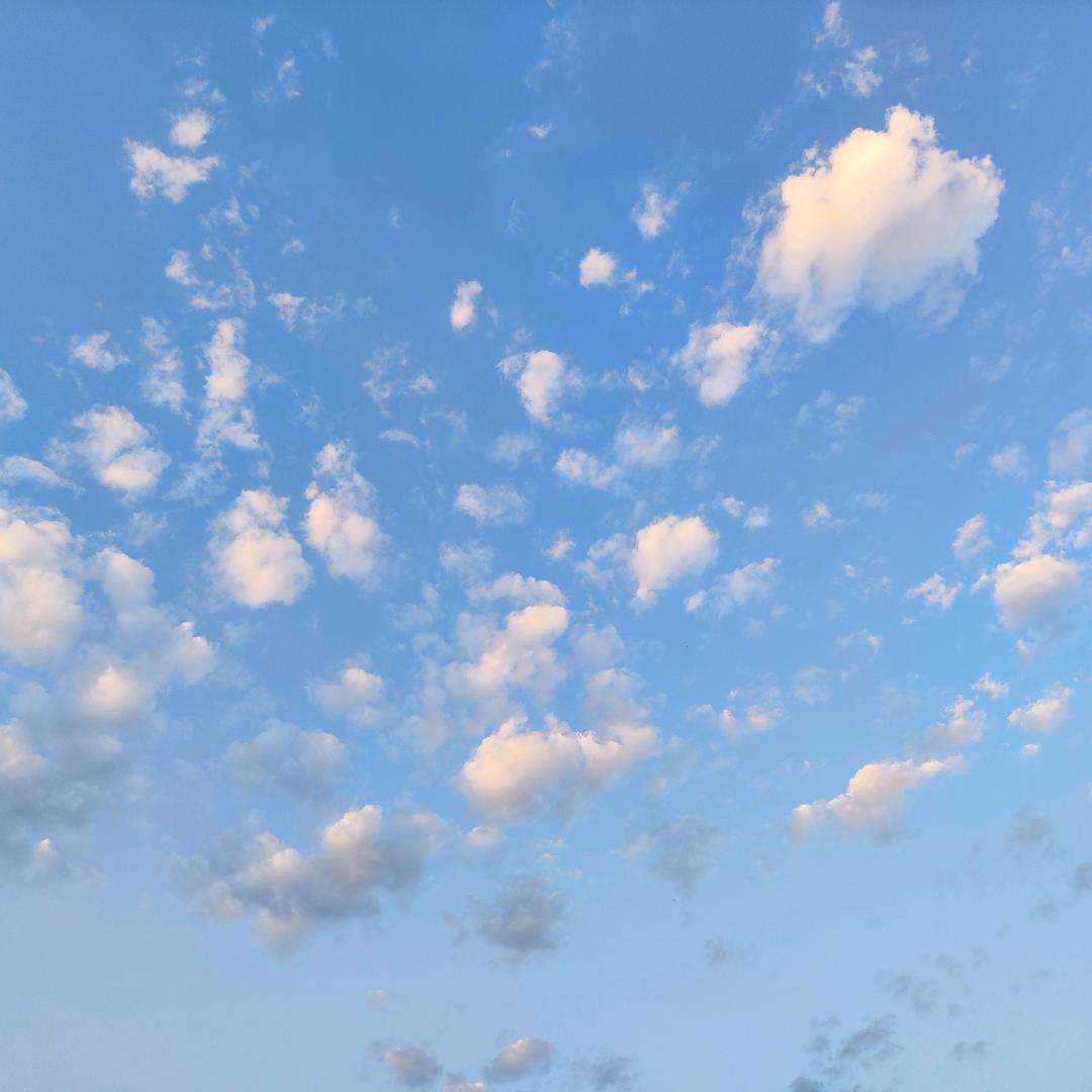 是不是可以不用真名