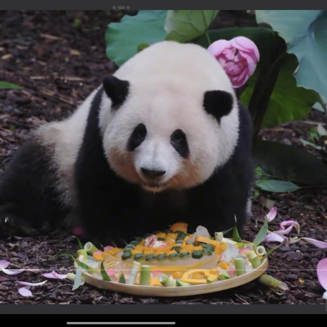 云溪
