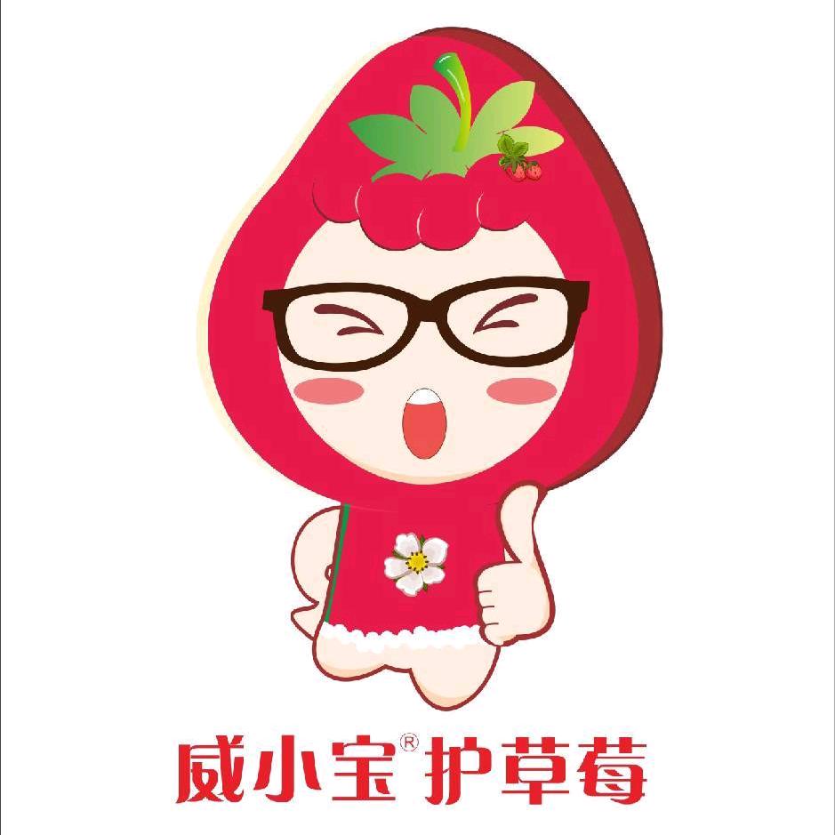 威小宝管草莓