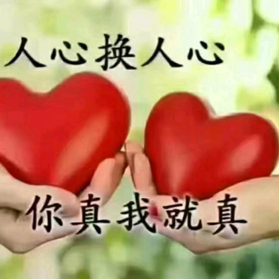 单身地摊哥