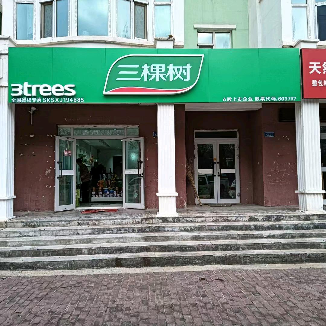 布尔津三棵树启策装饰