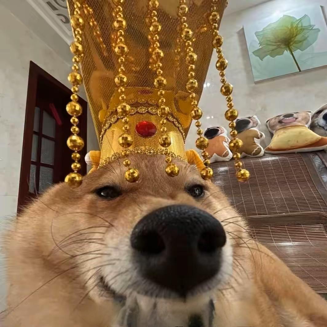 宇宙无敌大帅哥