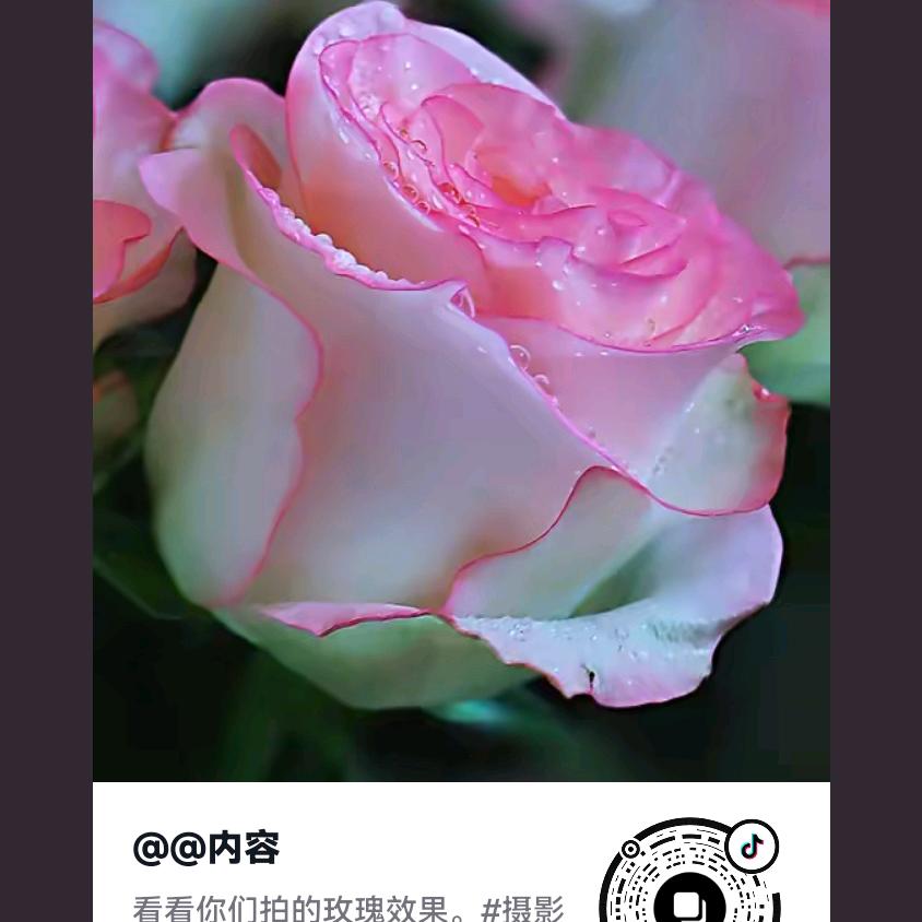 晴雨涵不定💐