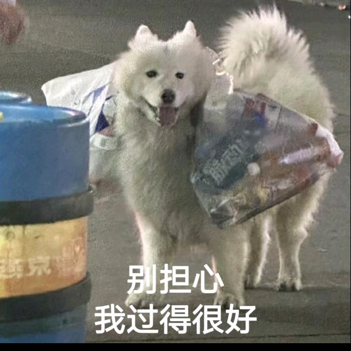 爱学习的momo