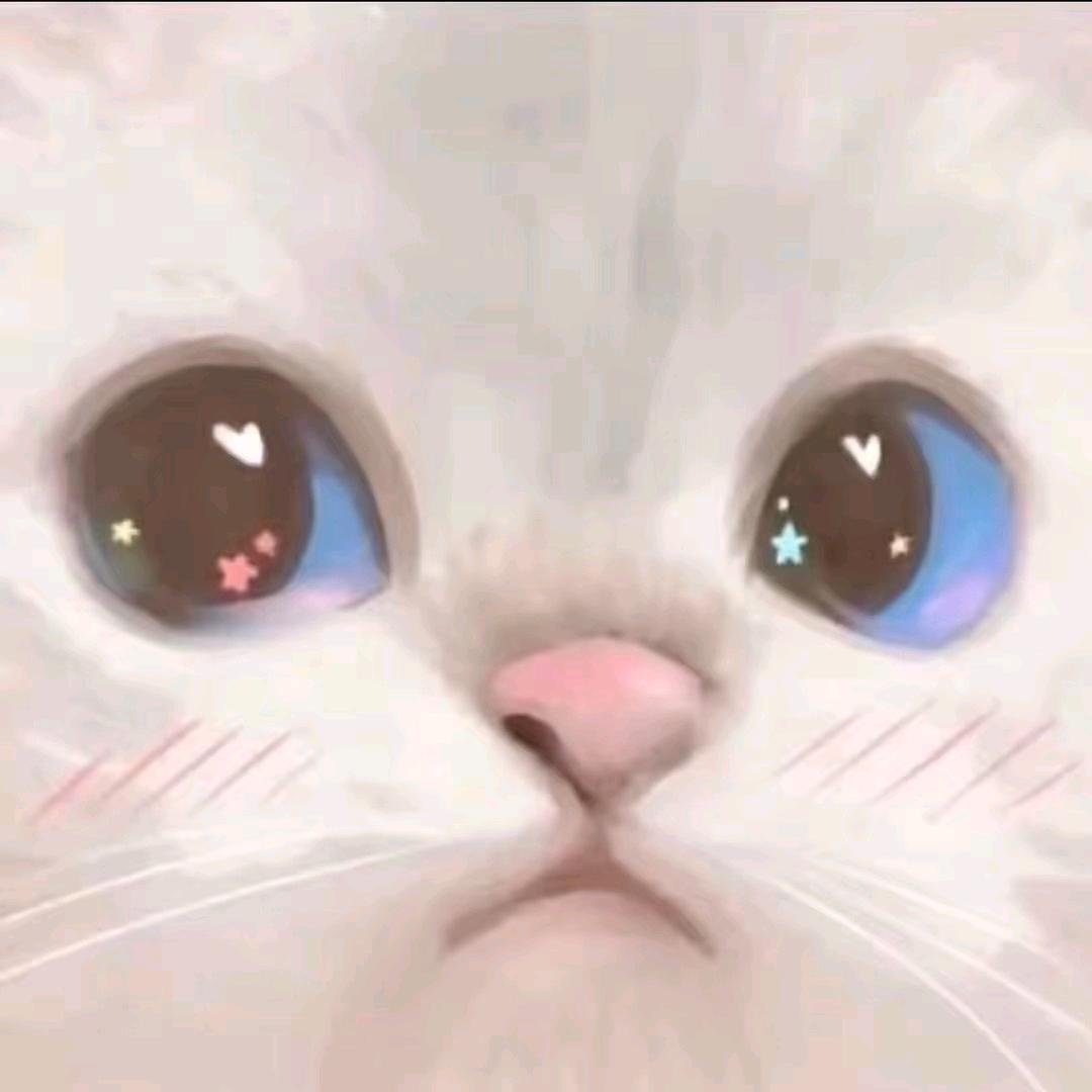 阳光彩虹白条鸡