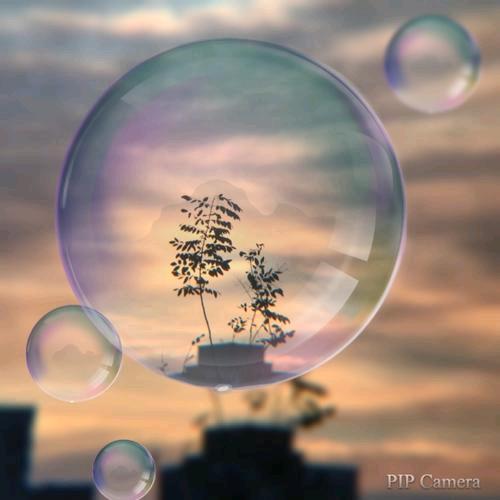 ☞向家女，姚家媳☜