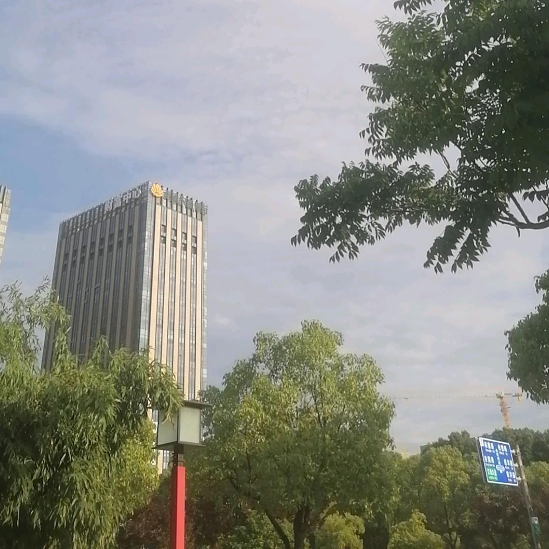 一半装傻一半装哑，