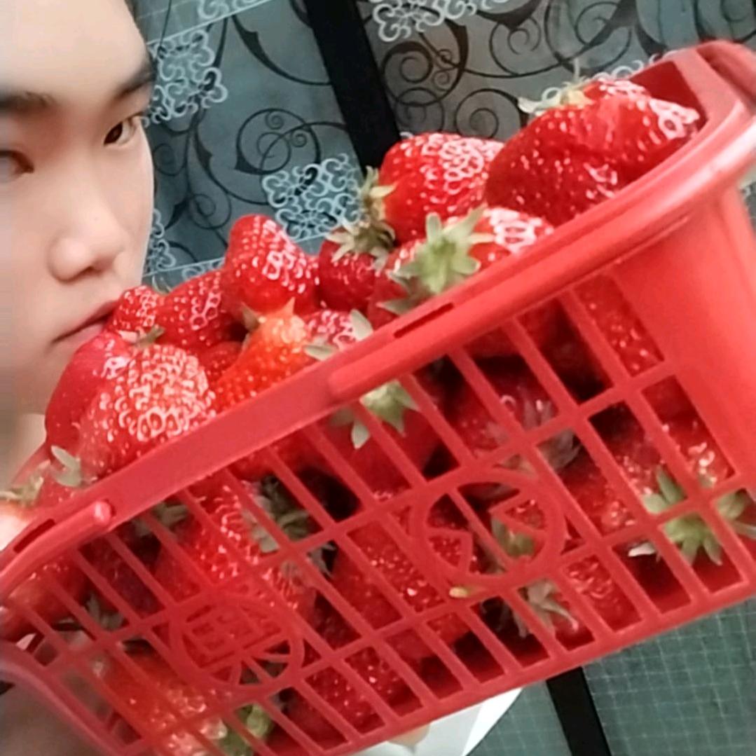 💞张⁵²⁰💗左¹³¹⁴