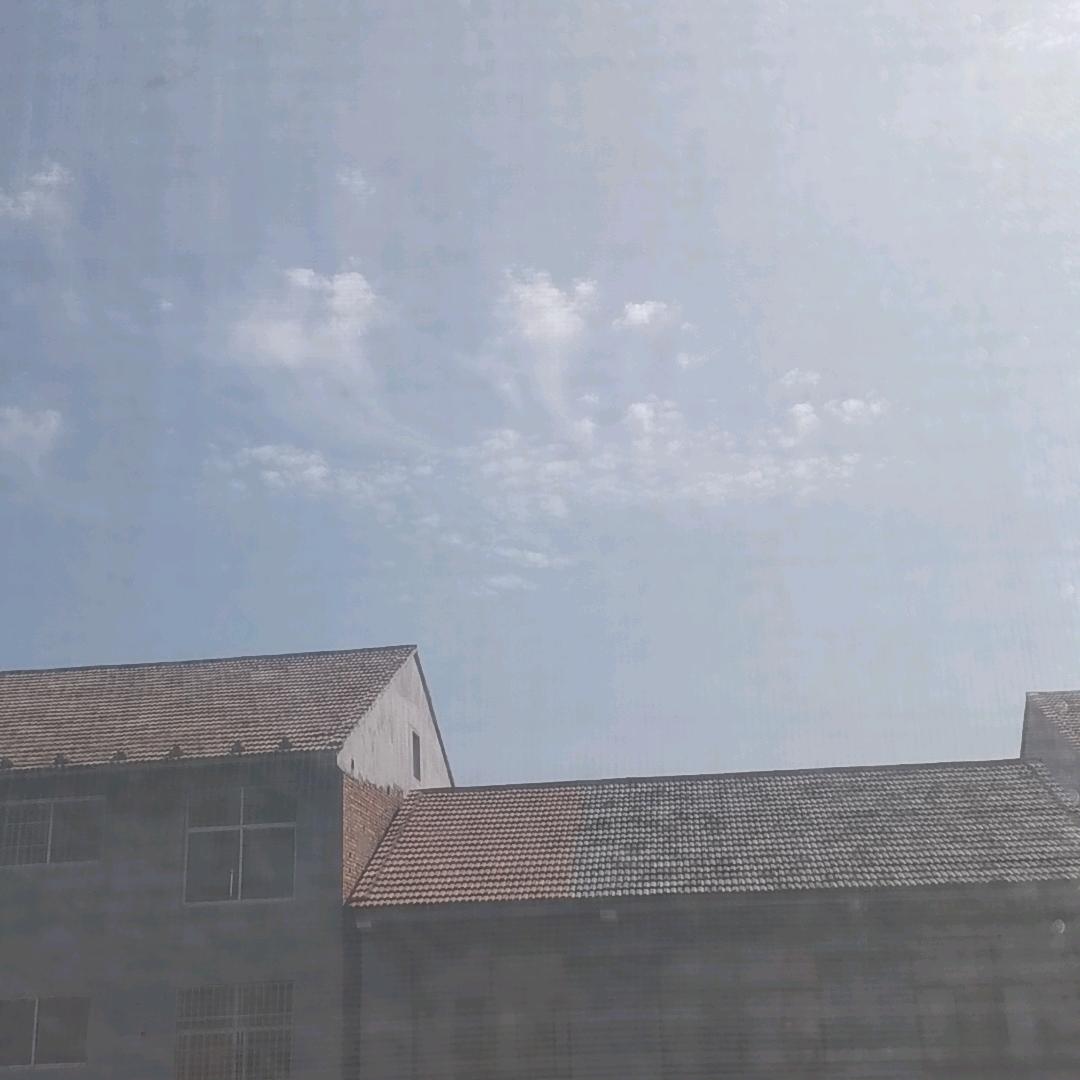 茂秋-小吕