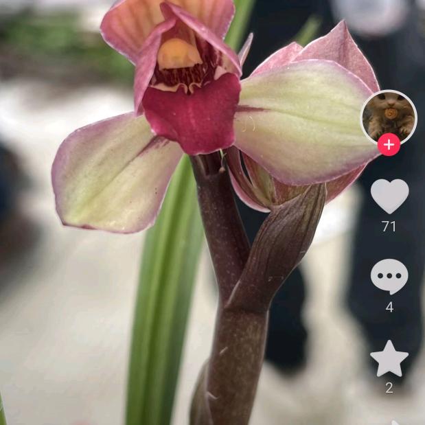 要懂得珍惜，拒绝私聊，