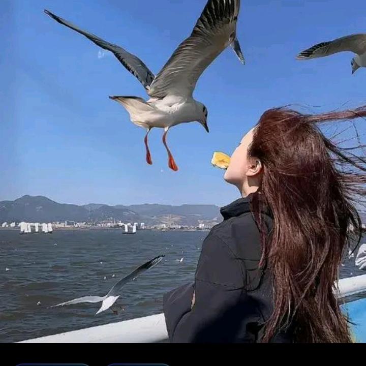 健康家园北门农家菜馆