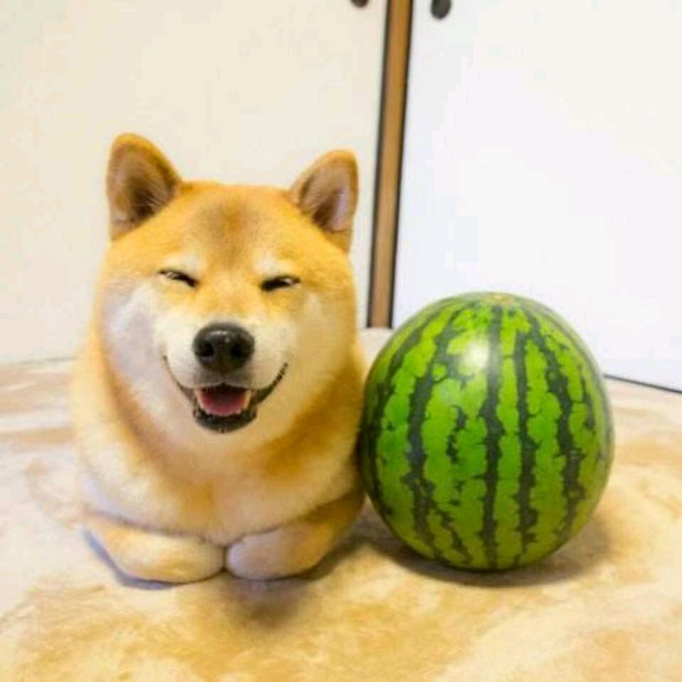 马铃薯洋芋炒土豆丝