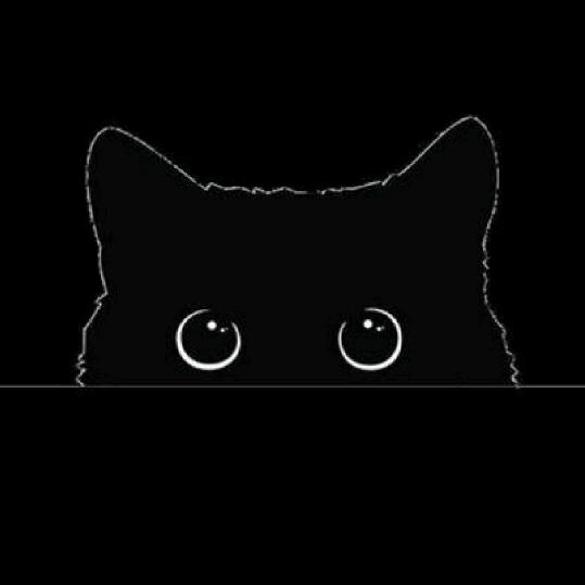 ღ᭄微笑🌿向暖ঞ᭄༊