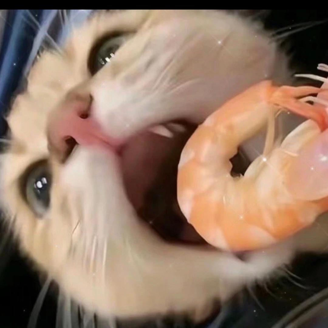 希希（努力上岸版）