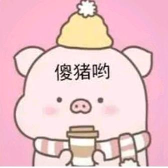 尐儍猪