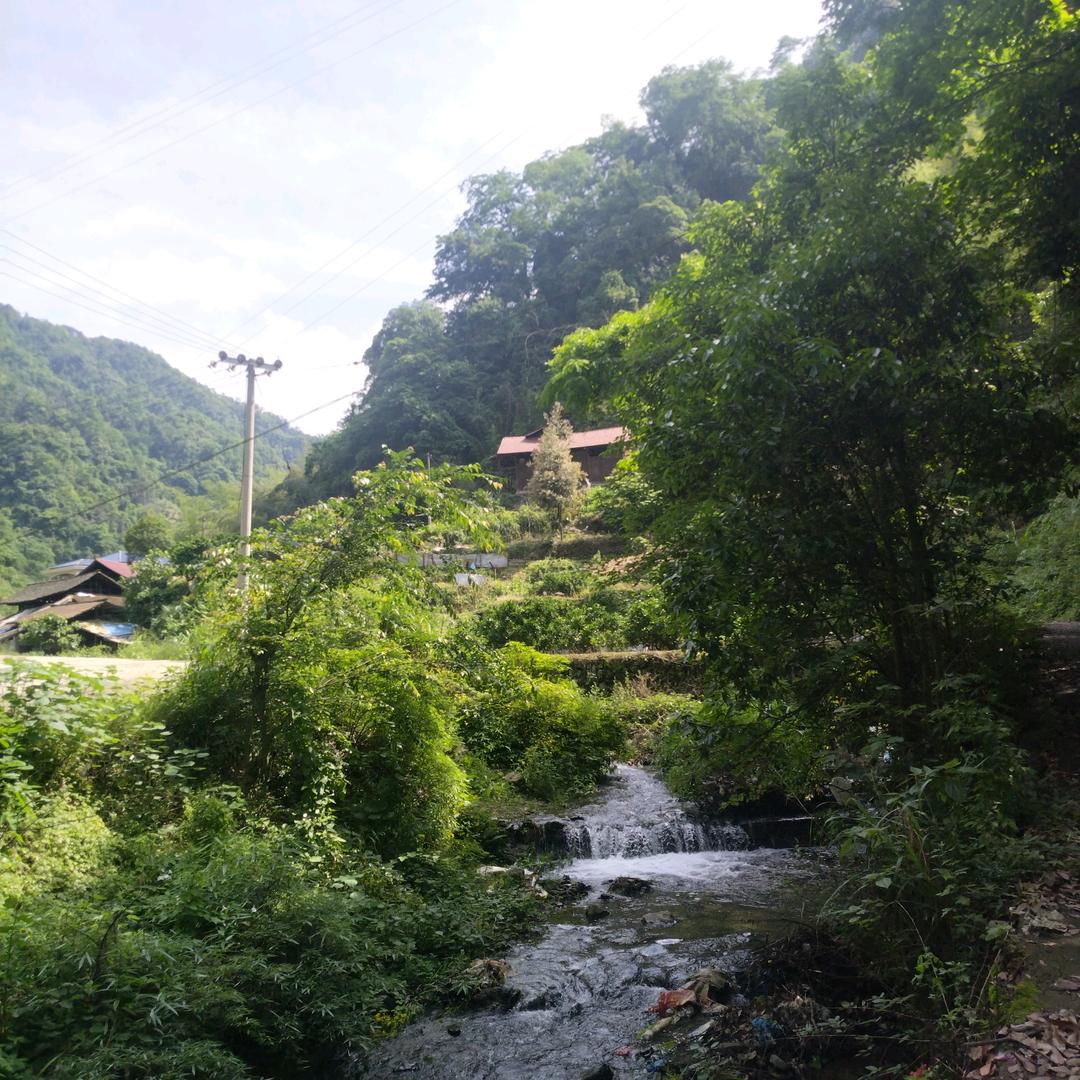 中医养生
