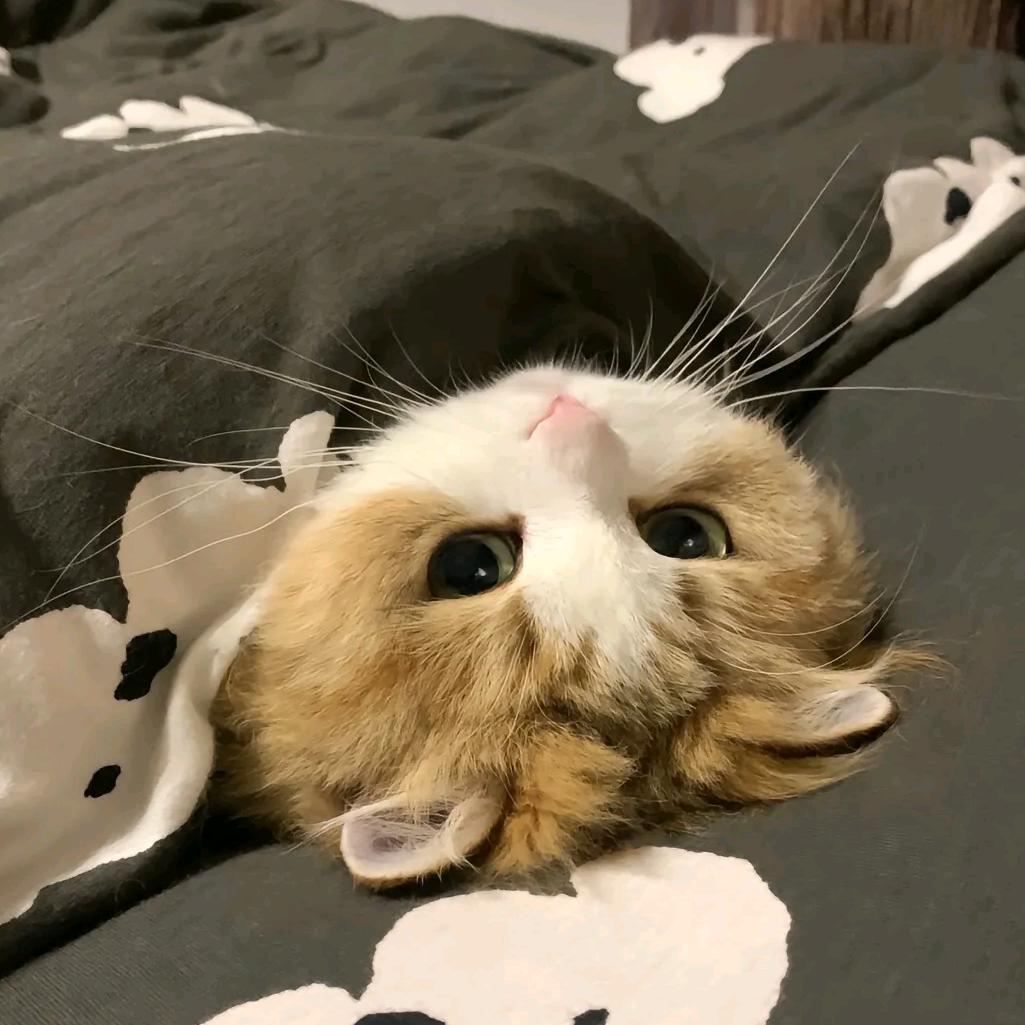 kei  悠米