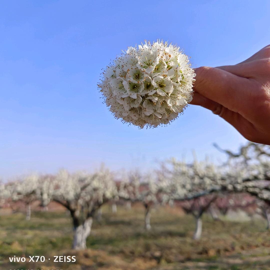 @内乡 超市圈的菇凉