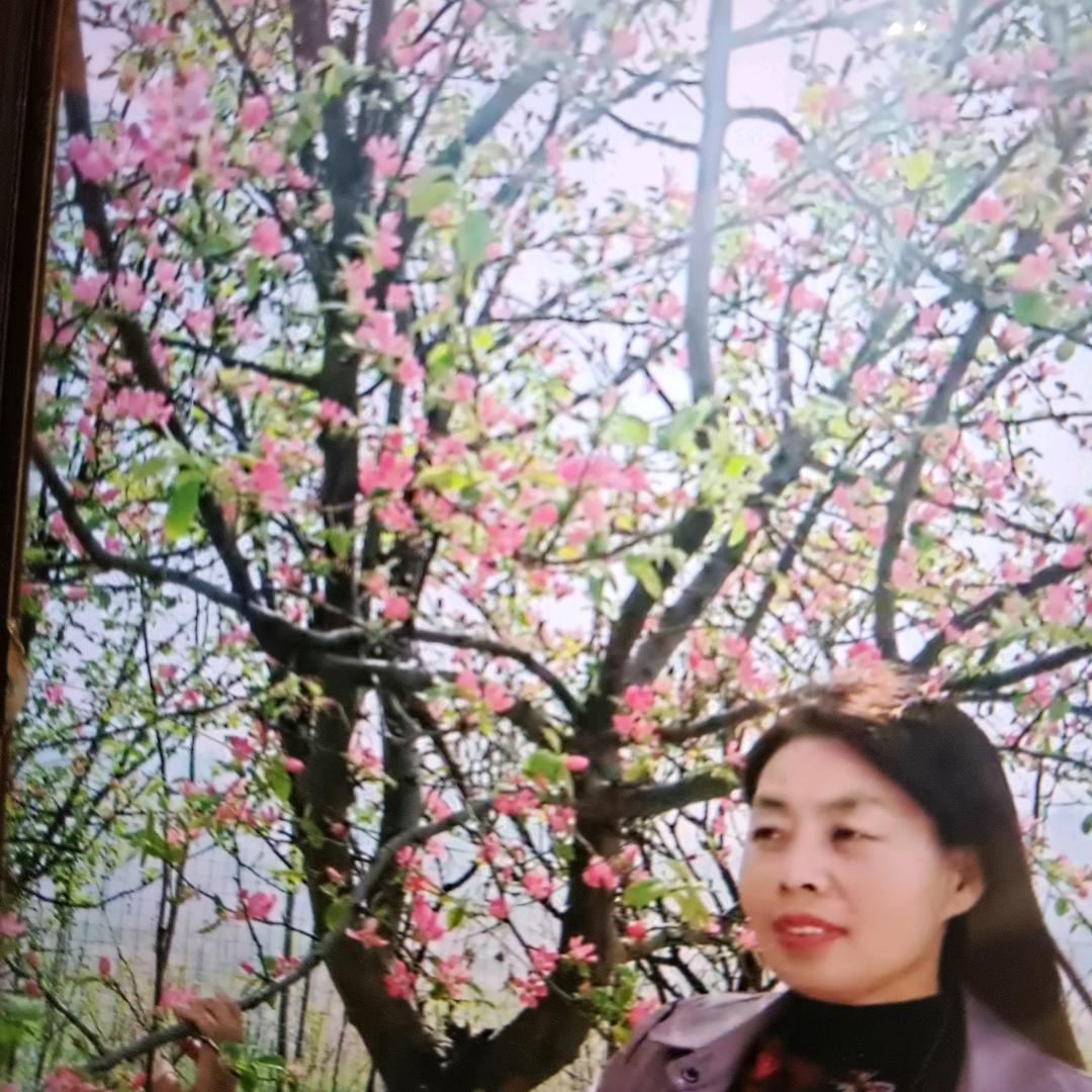 秀灵爱好
