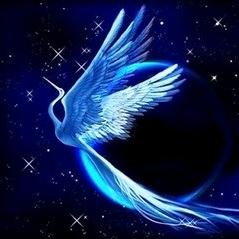 🌜琴