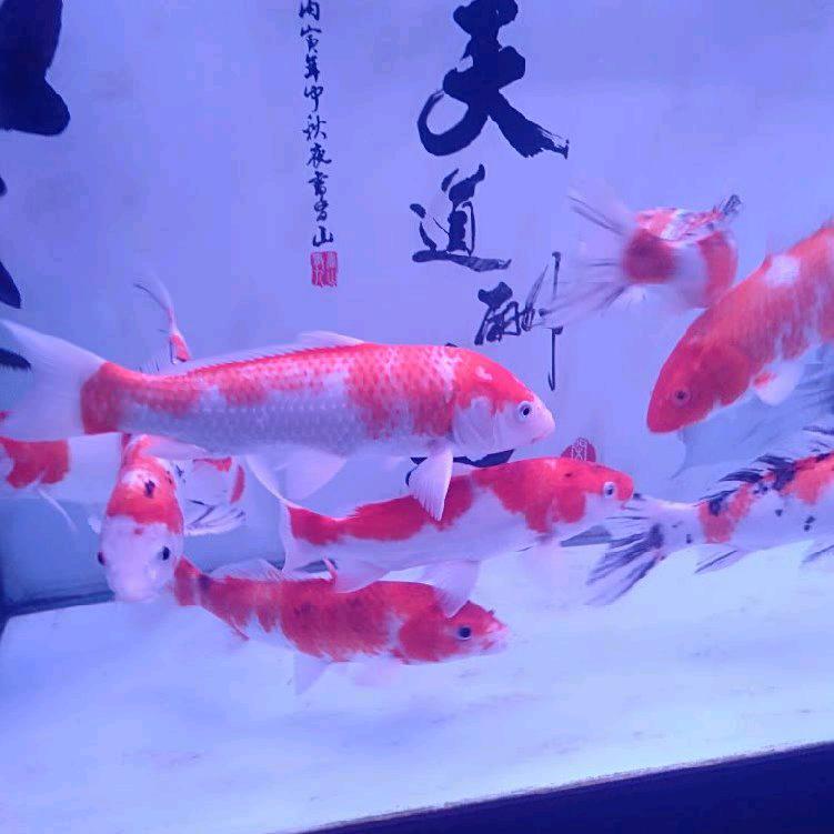 用户3133643705272